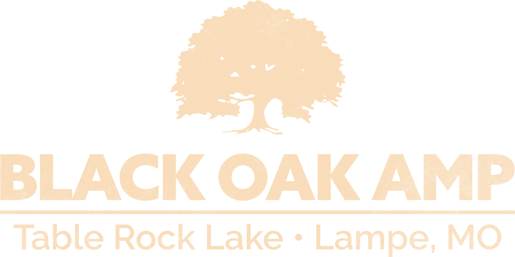 Black Oak Amphitheater 2024 - Joan Ronica